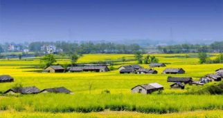 李培林：逆城镇化应成为乡村振兴的一种选择